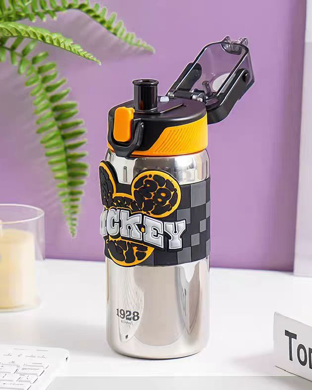 Disney Direct Drinking Vacuum Sports Water Bottle (3D Leather Case)